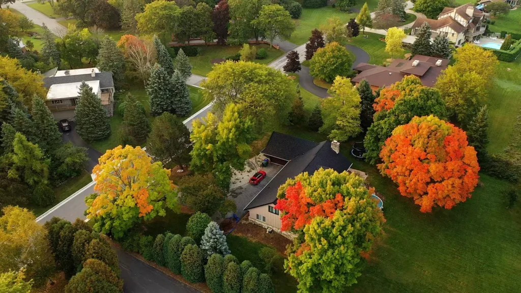 homes in the fall